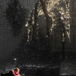 LA METAMORPHOSE . STANISLAS NORDEY . 2013