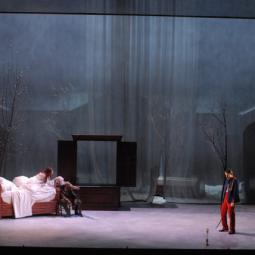 FORTUNIO . DENIS PODALYDES . 2009