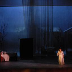 FORTUNIO . DENIS PODALYDES . 2009