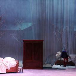 FORTUNIO . DENIS PODALYDES . 2009