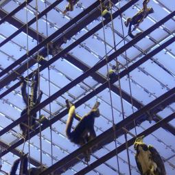 GALERIE DE L'EVOLUTION . MUSEUM NATIONAL D'HISTOIRES NATURELLES . PARIS . 2014 | © MNHM