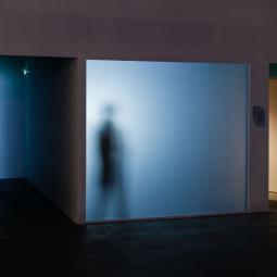 250 ANS DE L'ENSAD . PALAIS DE TOKYO . 2017